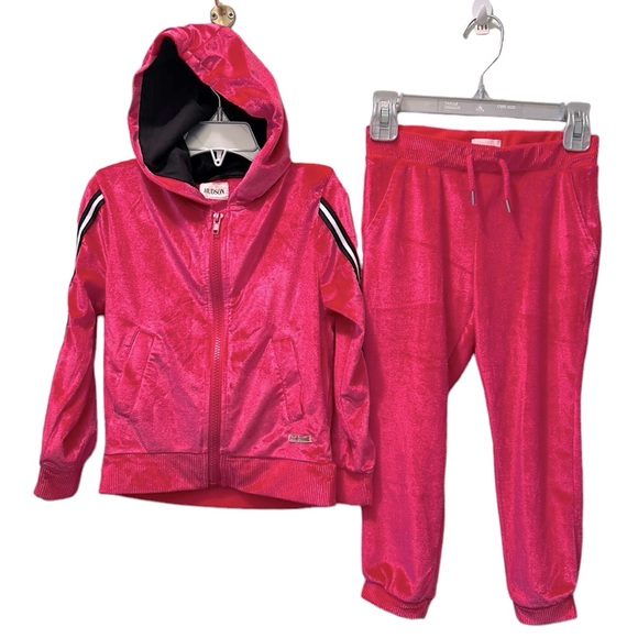 HUDSON girl jacket and jogger pant set size 4T - Picture 1 of 3